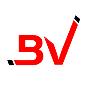 cropped-bytevix-2.png